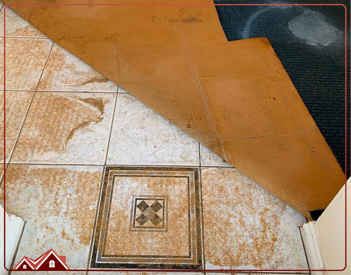 پاک کردن چسب موکت از کف